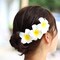 White Foam Hawaiian Frangipani Artificial Plumeria Flower Hat Hair Clips